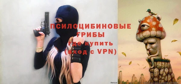 герыч Иннополис