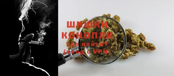 тгк Инта