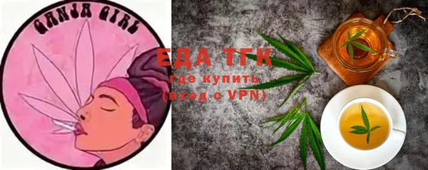 тгк Инта
